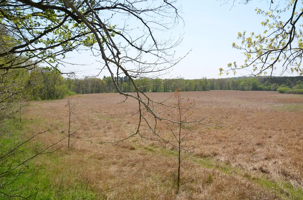 2255 River Road Hastings Charter Township, MI 49058