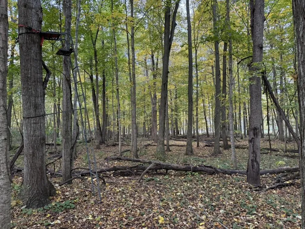 2255 River Road Hastings Charter Township, MI 49058