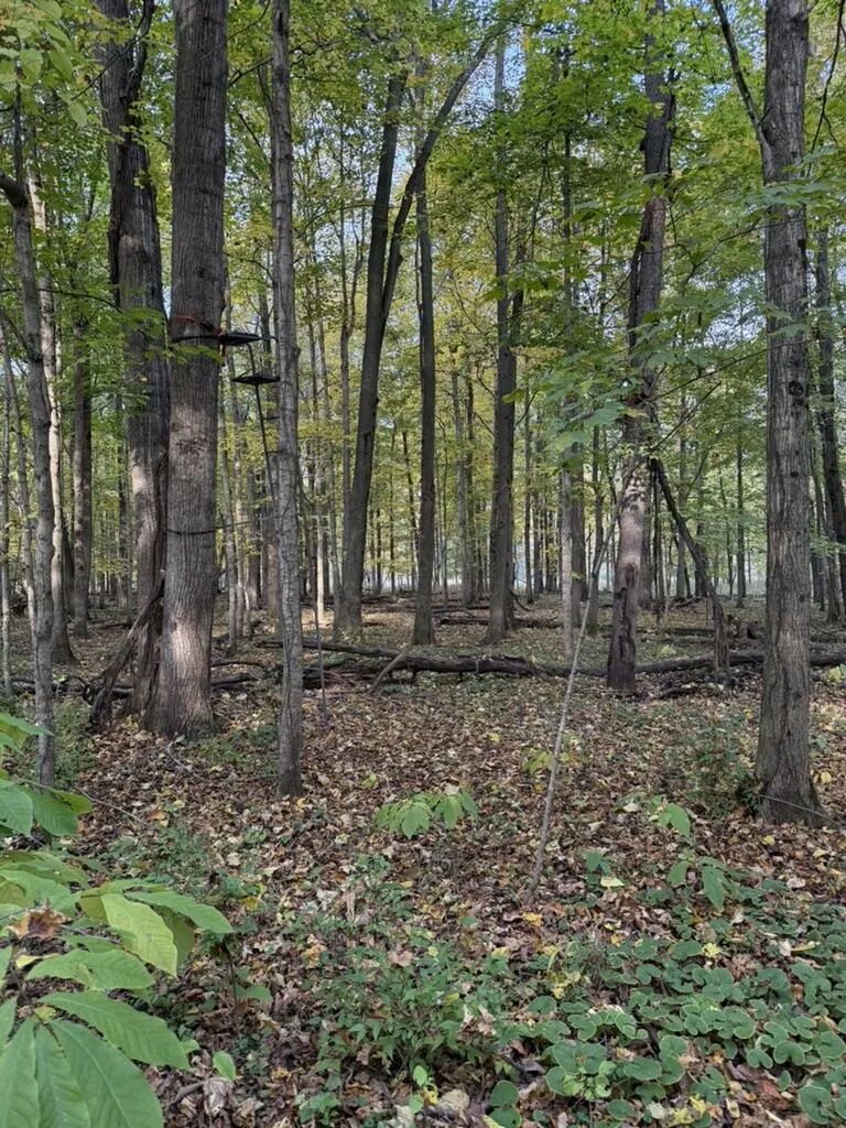 2255 River Road Hastings Charter Township, MI 49058