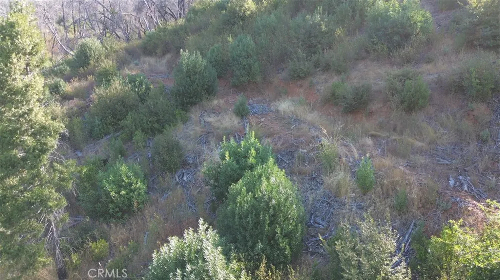9666 Oro Quincy Highway Berry Creek, CA 95916