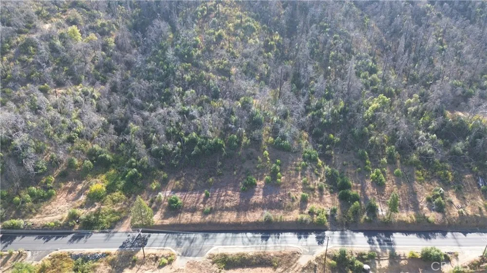 9666 Oro Quincy Highway Berry Creek, CA 95916
