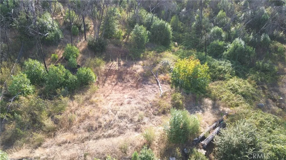 9666 Oro Quincy Highway Berry Creek, CA 95916
