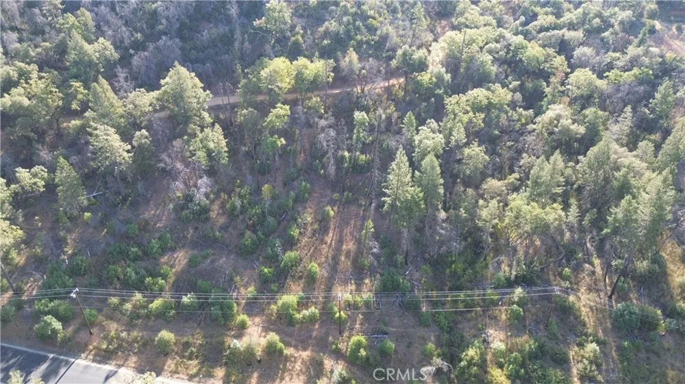 9666 Oro Quincy Highway Berry Creek, CA 95916