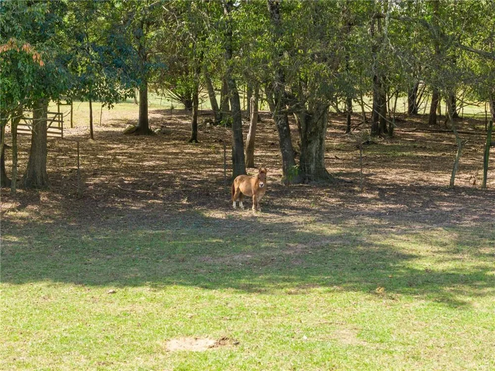 241 Bill Watkins Road Hoschton, GA 30548