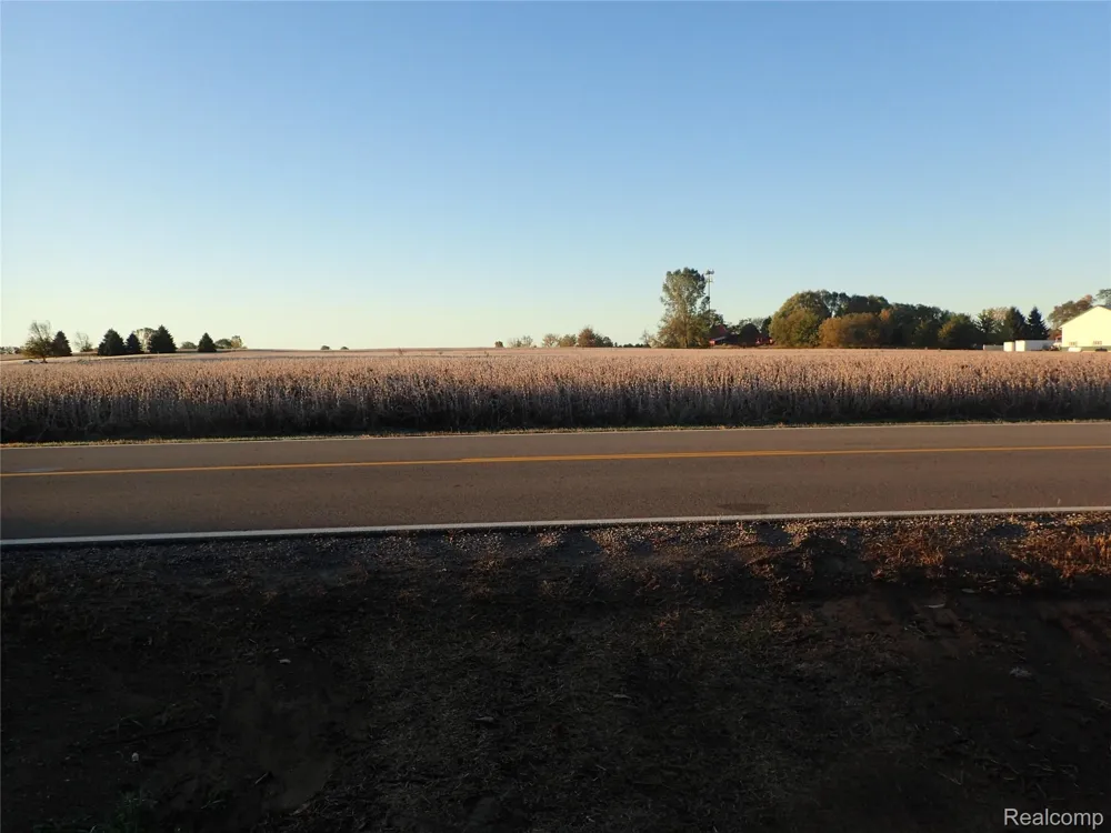 Hayner Road Conway Township, MI 48836