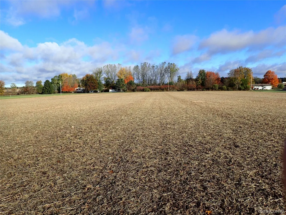 Hayner Road Conway Township, MI 48836