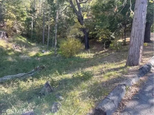 Deer Way Lake Arrowhead, CA 92352