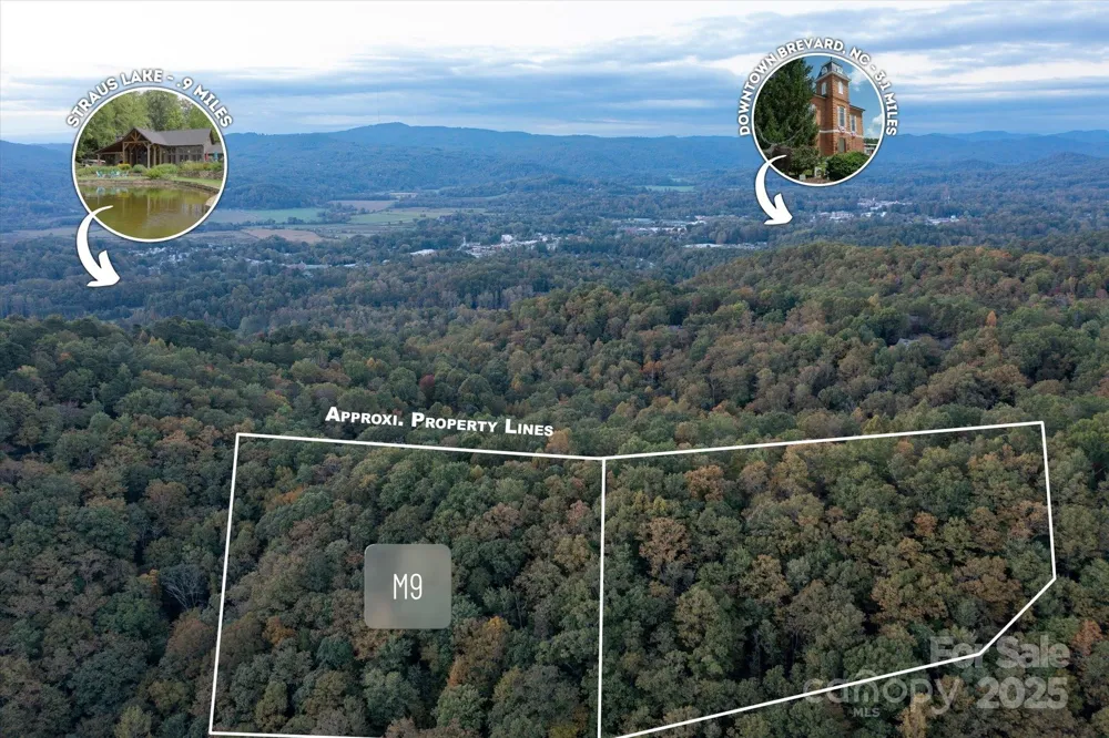 TBD Pine Mountain Trail #M9 Brevard, NC 28712