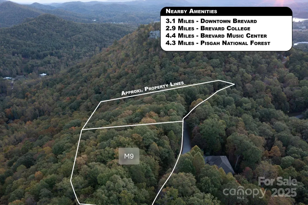 TBD Pine Mountain Trail #M9 Brevard, NC 28712