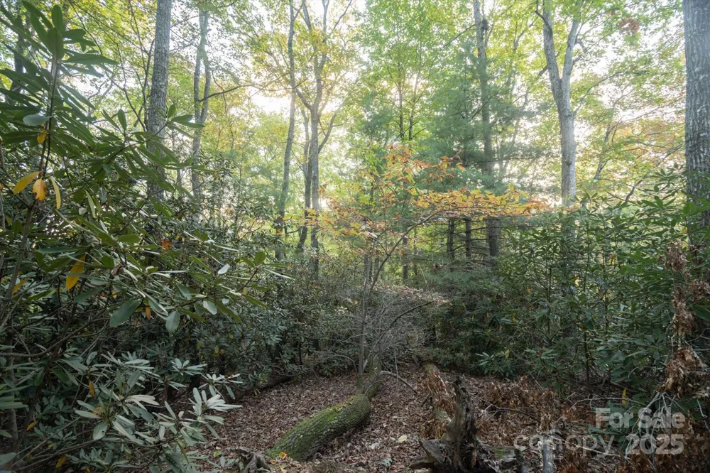 TBD Pine Mountain Trail #M9 Brevard, NC 28712