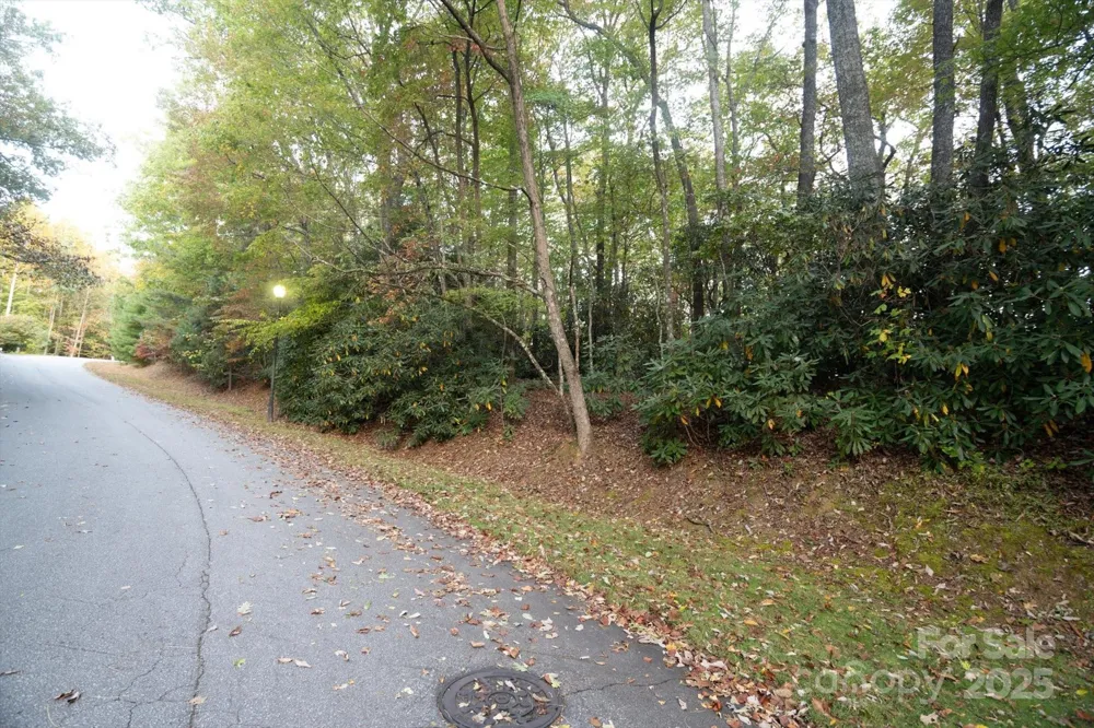 TBD Pine Mountain Trail #M9 Brevard, NC 28712