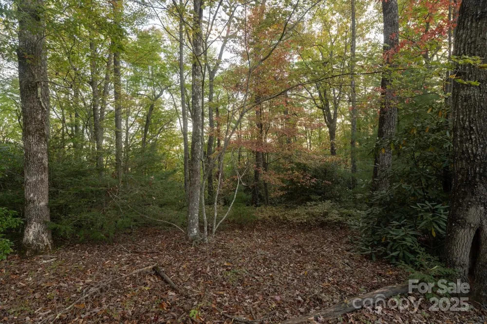 TBD Pine Mountain Trail #M8 Brevard, NC 28712