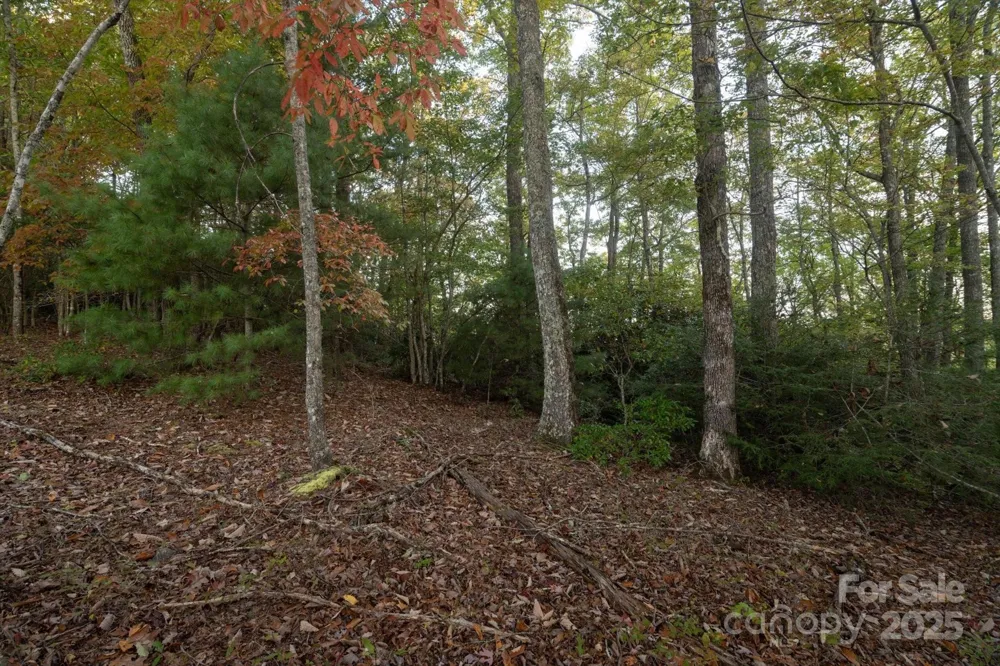 TBD Pine Mountain Trail #M8 Brevard, NC 28712