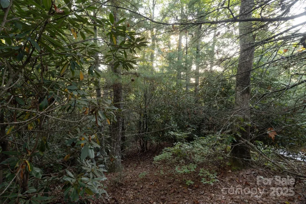 TBD Pine Mountain Trail #M8 Brevard, NC 28712