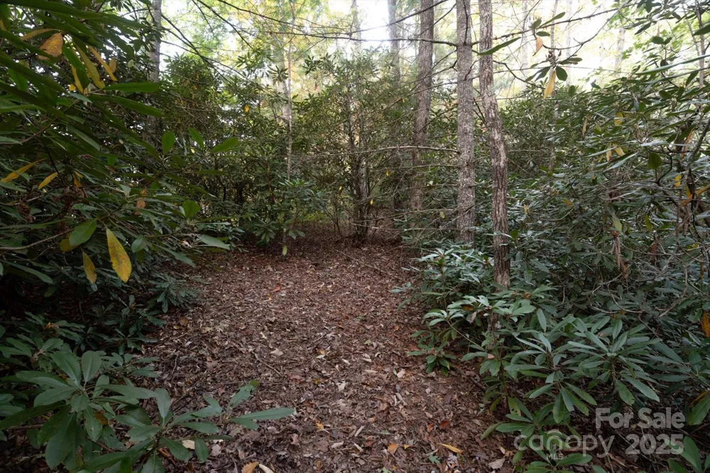 TBD Pine Mountain Trail #M8 Brevard, NC 28712