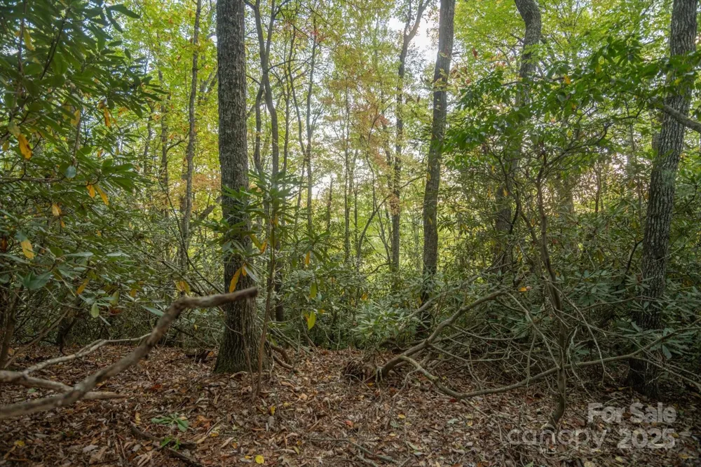 TBD Pine Mountain Trail #M8 Brevard, NC 28712