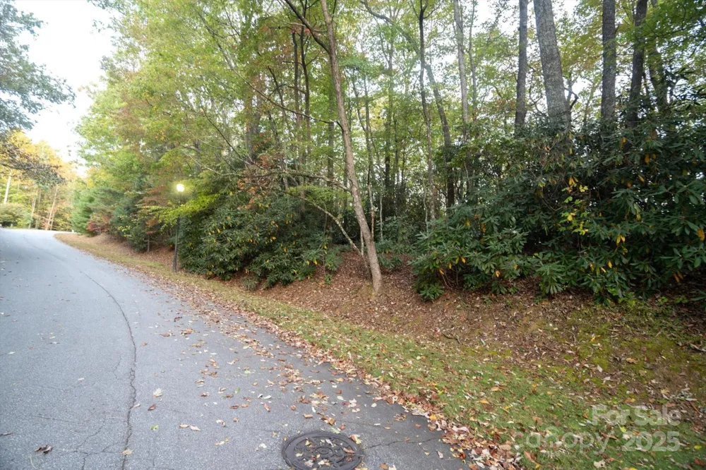 TBD Pine Mountain Trail #M8 Brevard, NC 28712