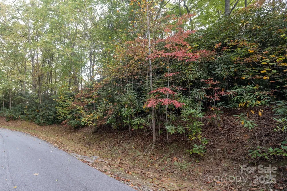 TBD Pine Mountain Trail #M8 Brevard, NC 28712