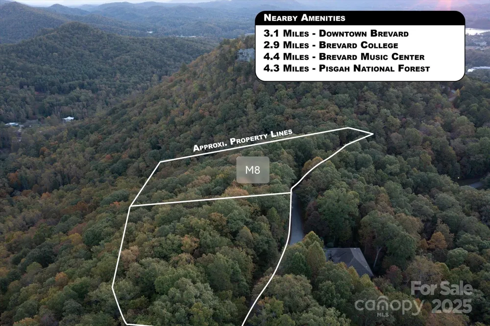 TBD Pine Mountain Trail #M8 Brevard, NC 28712