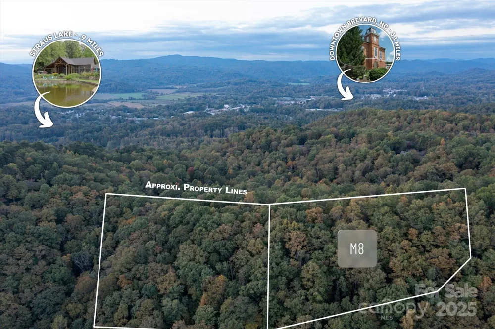 TBD Pine Mountain Trail #M8 Brevard, NC 28712