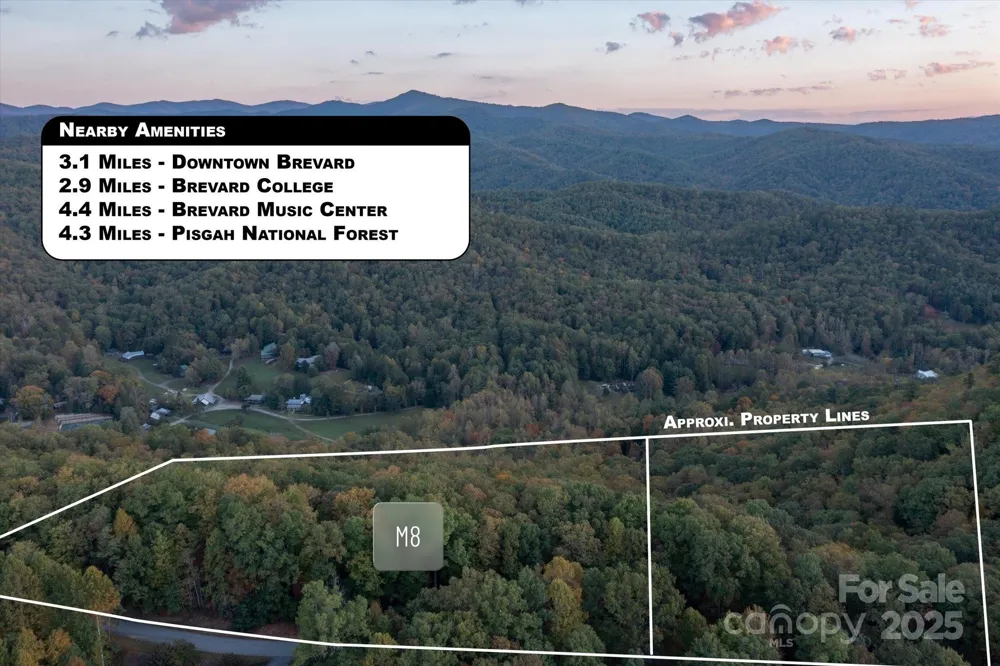 TBD Pine Mountain Trail #M8 Brevard, NC 28712