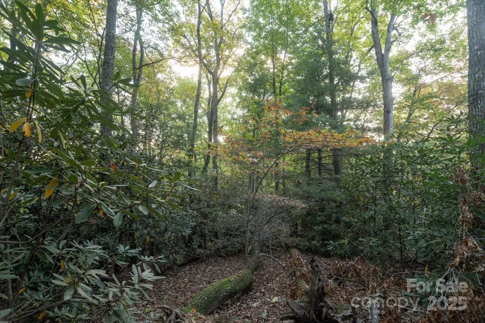 TBD Pine Mountain Trail #M8 & M9 Brevard, NC 28712