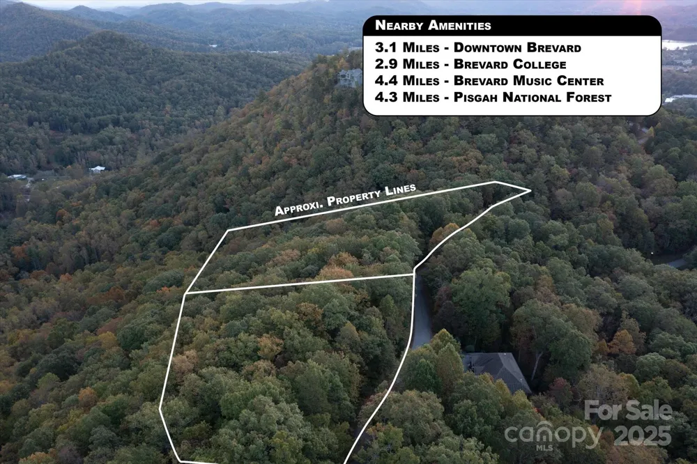 TBD Pine Mountain Trail #M8 & M9 Brevard, NC 28712