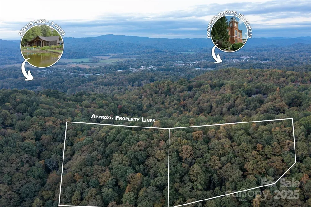 TBD Pine Mountain Trail #M8 & M9 Brevard, NC 28712