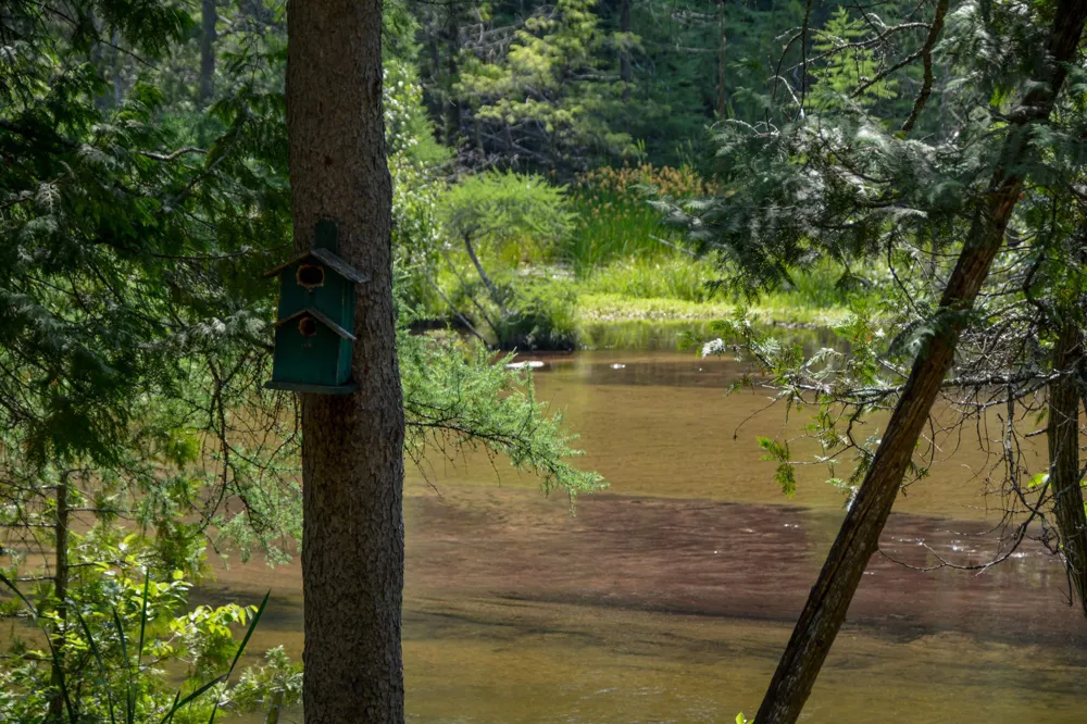 W Plum Valley Road NW Clearwater Township, MI 49676