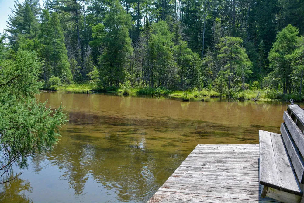 W Plum Valley Road NW Clearwater Township, MI 49676