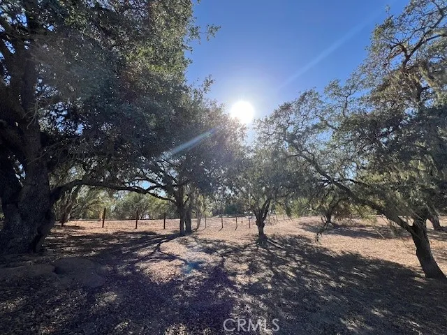 1810 Fire Rock Loop Templeton, CA 93465