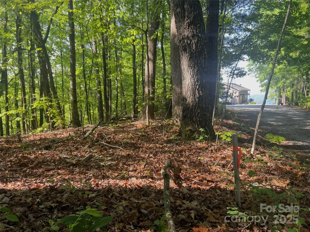 Lot 14R Arrowhead Ridge #14 Revised Brevard, NC 28712