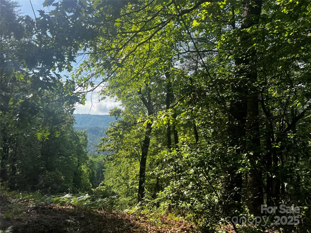 Lot 14R Arrowhead Ridge #14 Revised Brevard, NC 28712