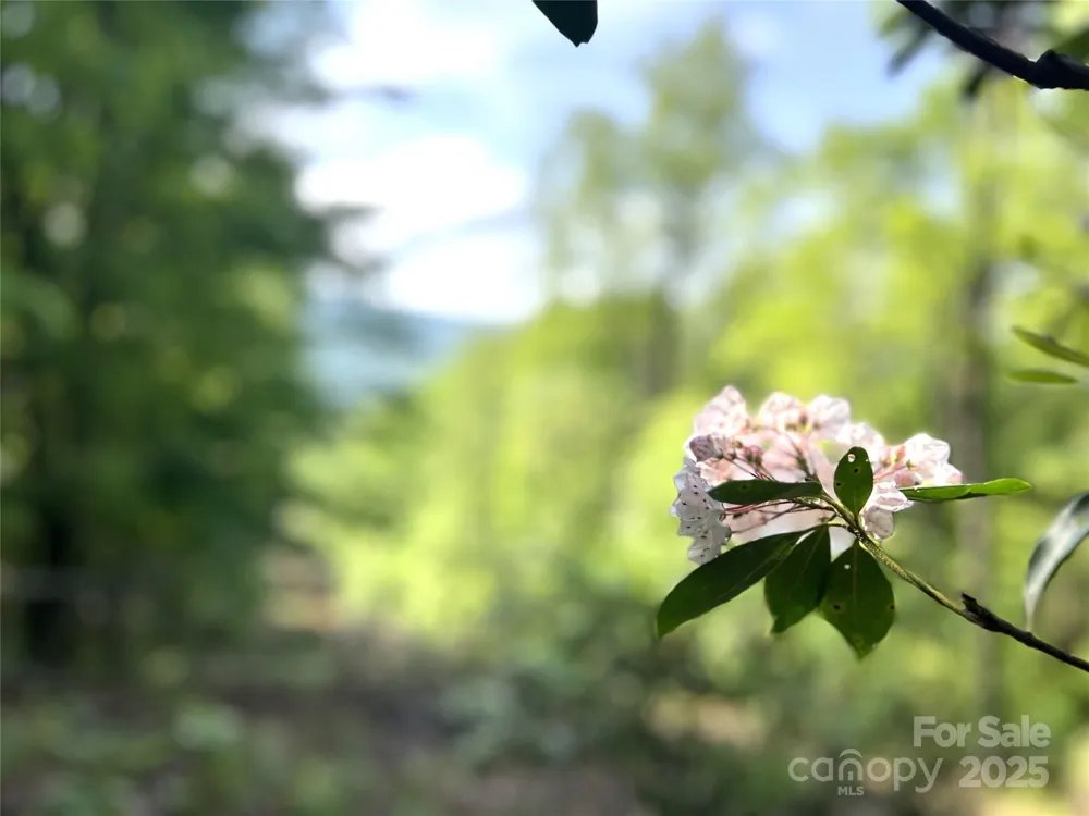 Lot 14R Arrowhead Ridge #14 Revised Brevard, NC 28712