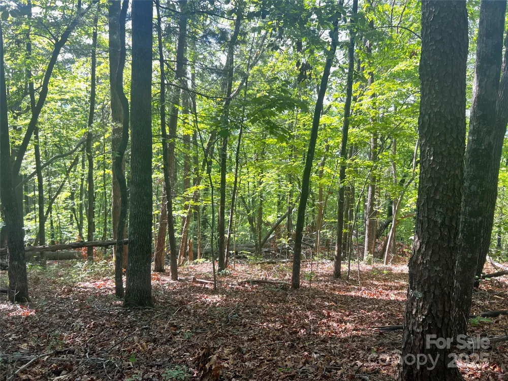 Lot 14R Arrowhead Ridge #14 Revised Brevard, NC 28712