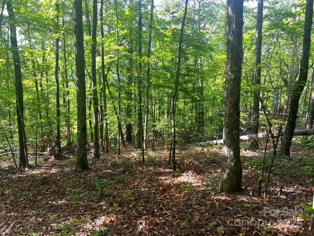 Lot 14R Arrowhead Ridge #14 Revised Brevard, NC 28712