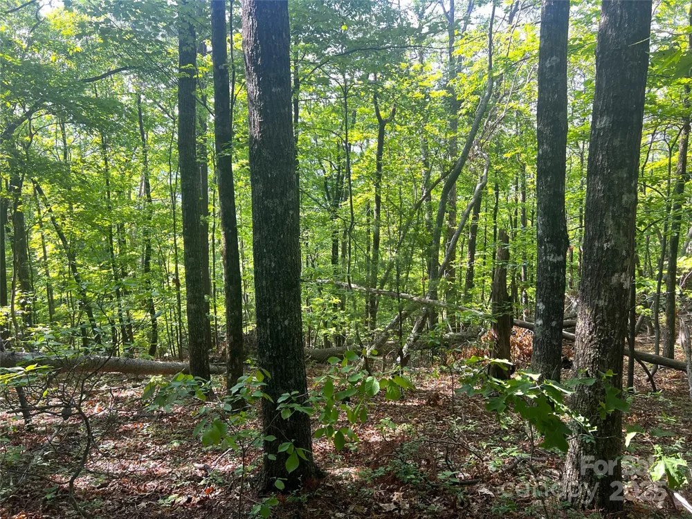 Lot 14R Arrowhead Ridge #14 Revised Brevard, NC 28712