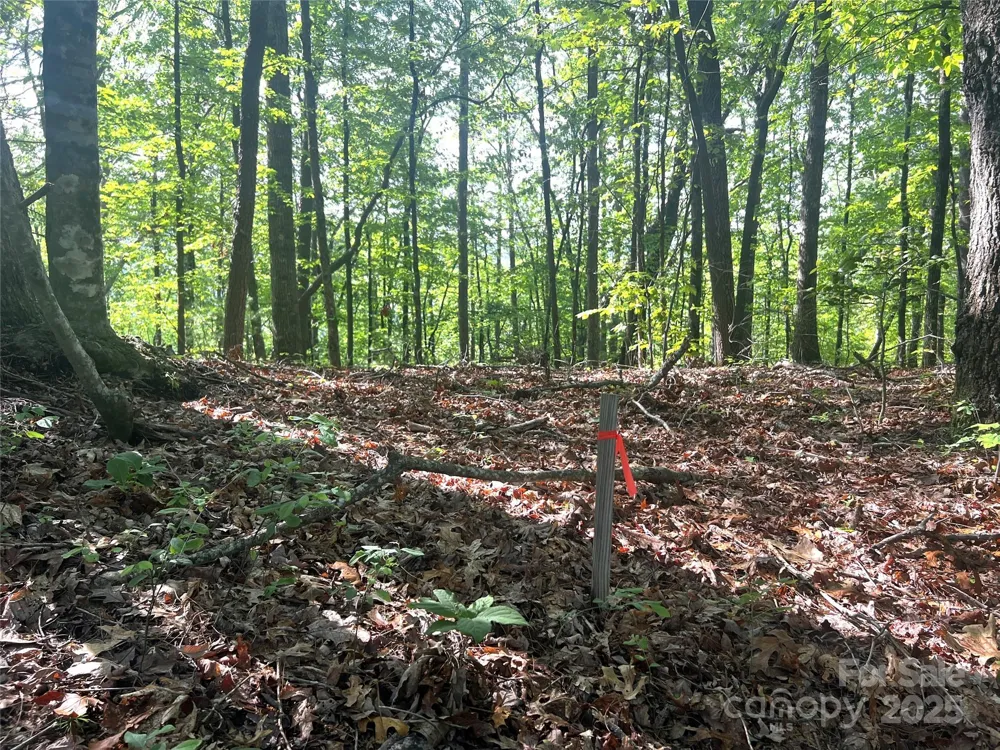 Lot 14R Arrowhead Ridge #14 Revised Brevard, NC 28712