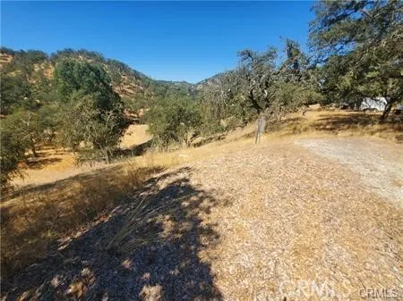 5129 Northfork