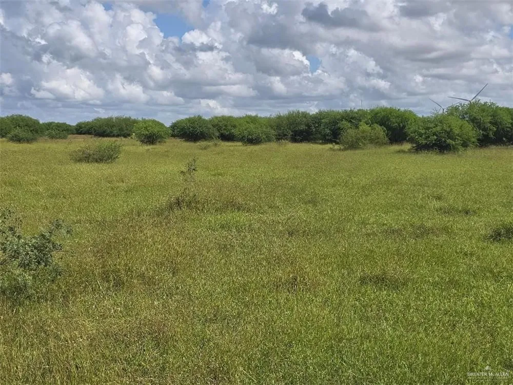 TBD Cemetery Road Raymondville, TX 78580