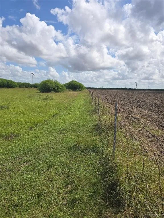 TBD Cemetery Road Raymondville, TX 78580