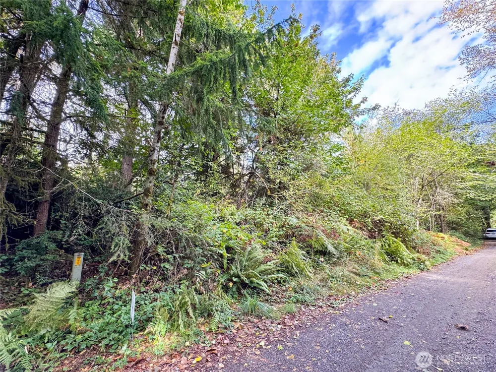 120 184th Avenue Ct NW Lakebay, WA 98349