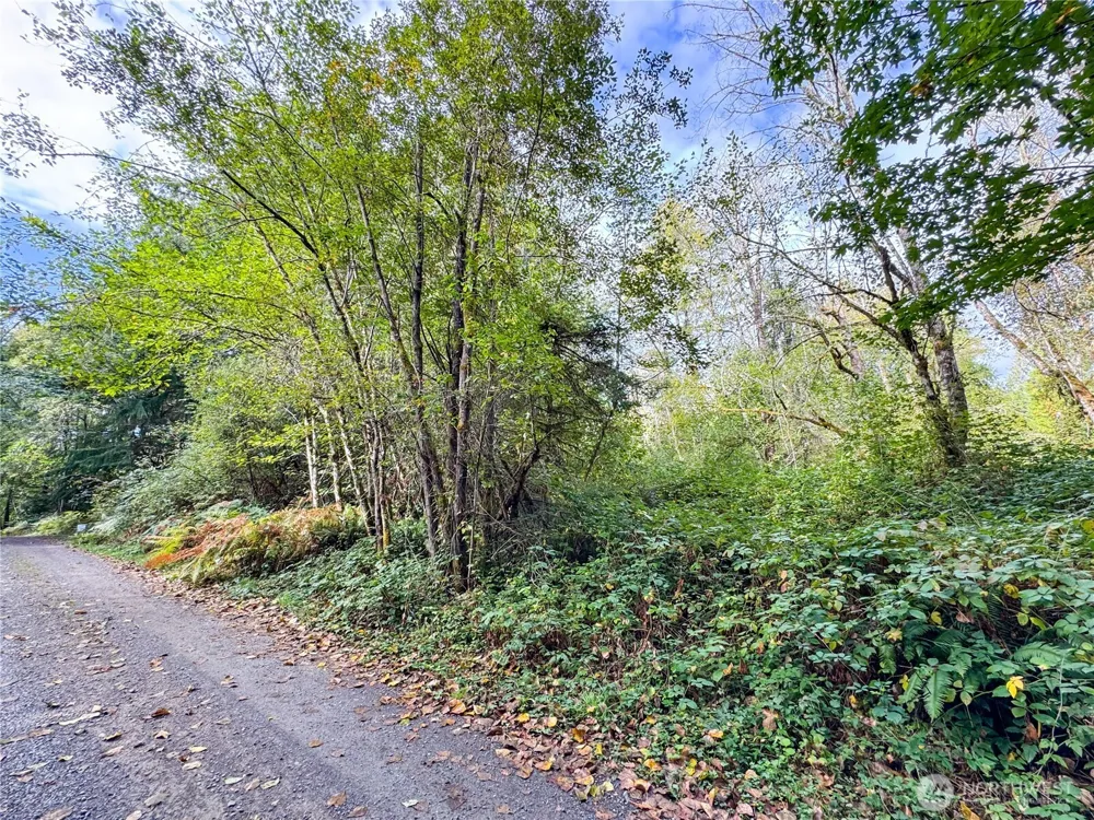 120 184th Avenue Ct NW Lakebay, WA 98349