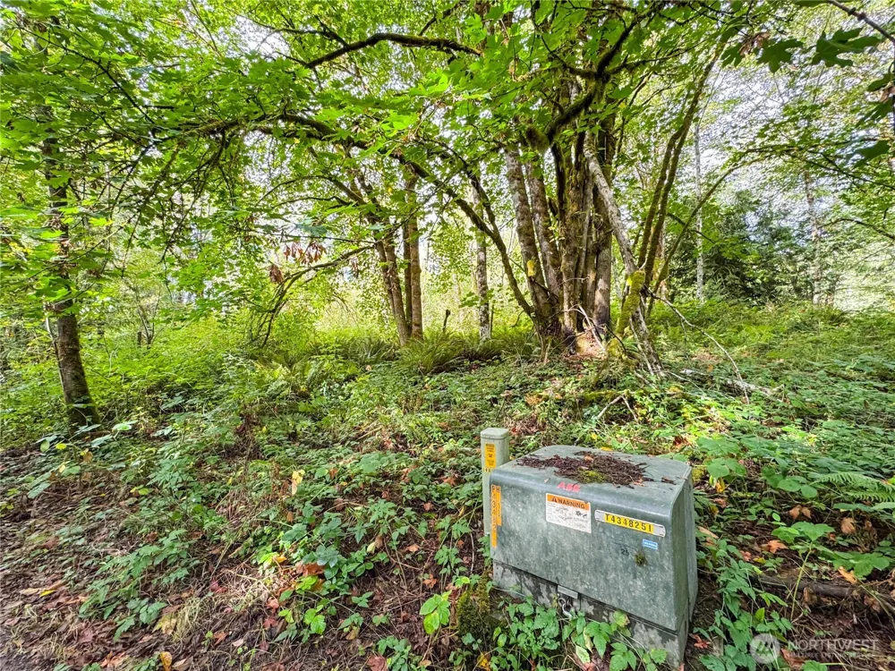 120 184th Avenue Ct NW Lakebay, WA 98349