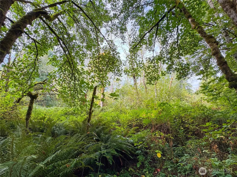 120 184th Avenue Ct NW Lakebay, WA 98349