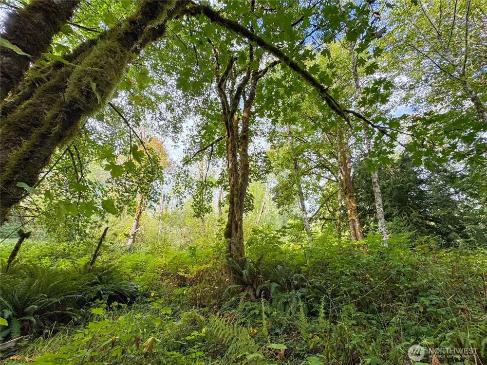 120 184th Avenue Ct NW Lakebay, WA 98349