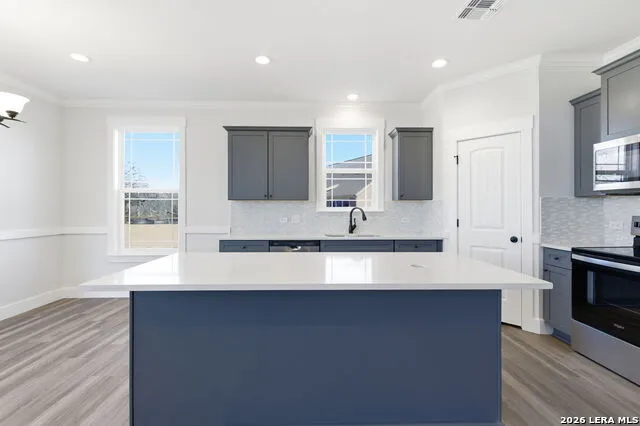 21131 Prairie Rose San Antonio, TX 78264