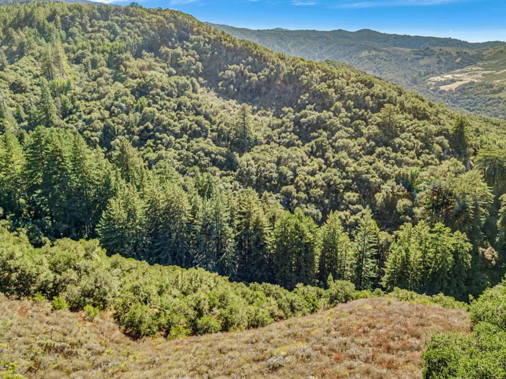 Ranch, Carmel Valley Road Carmel, CA 93923