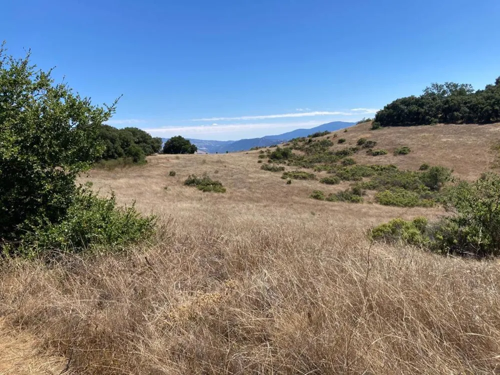 Ranch, Carmel Valley Road Carmel, CA 93923