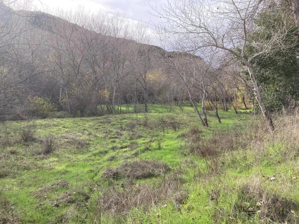 Ranch, Carmel Valley Road Carmel, CA 93923